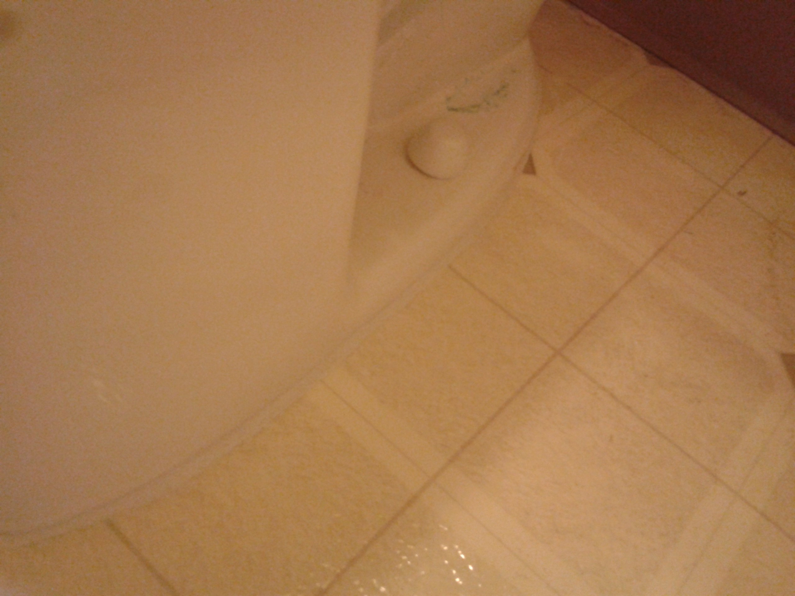 toilet which sits flat on the floor, grouted with sanded cement grout